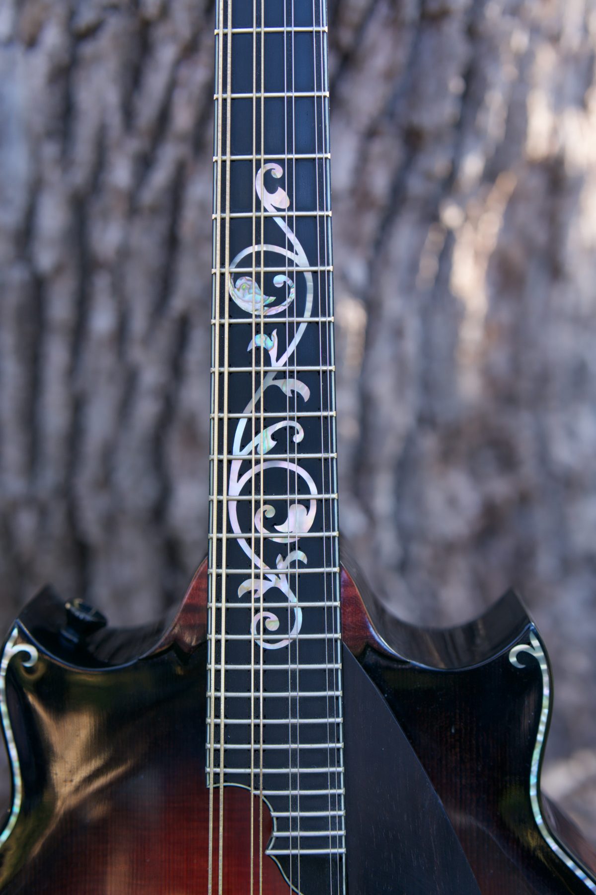 Mother-of-pearl vine inlay along the fretboard